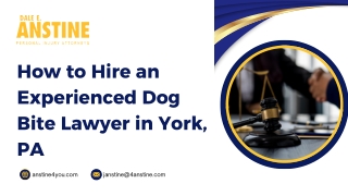 How to Hire an Experienced Dog Bite Lawyer in York, PA