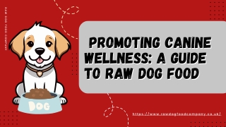 Promoting Canine Wellness A Guide to Raw Dog Food