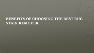 Benefits of choosing the best rug stain remover