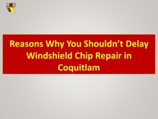 Reasons Why You Shouldn’t Delay Windshield Chip Repair in Coquitlam