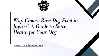 Why Choose Raw Dog Food in Jupiter A Guide to Better Health for Your Dog