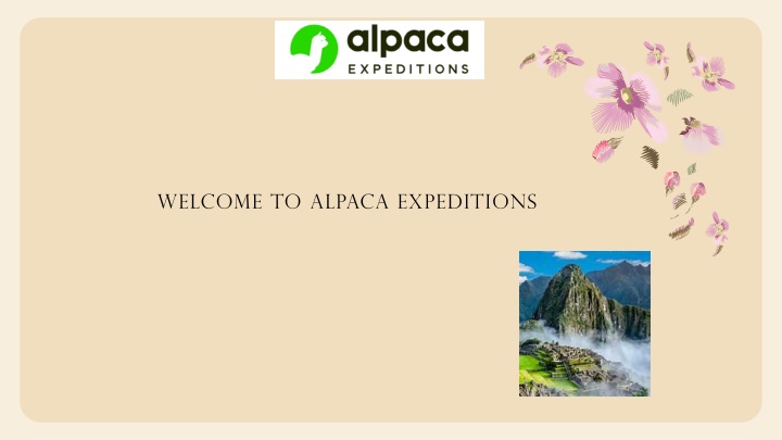 welcome to alpaca expeditions