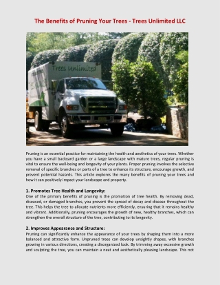 The Benefits of Pruning Your Trees - Trees Unlimited LLC