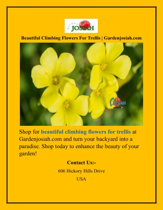 Beautiful Climbing Flowers For Trellis  Gardenjosiah.com