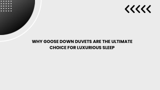 Why Goose Down Duvets Are the Ultimate Choice for Luxurious Sleep