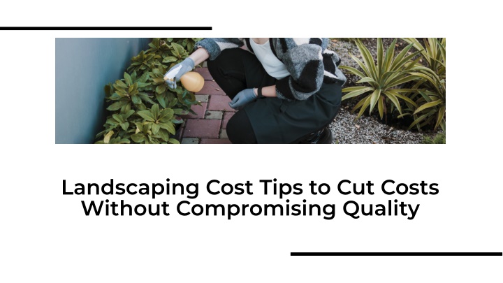 landscaping cost tips to cut costs without