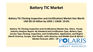 Battery TIC Market