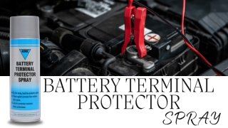 battery terminal protector