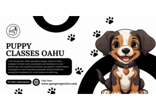 Puppy Classes Oahu