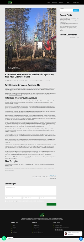 Affordable Tree Removal Services in Syracuse, NY: Your Ultimate Guide