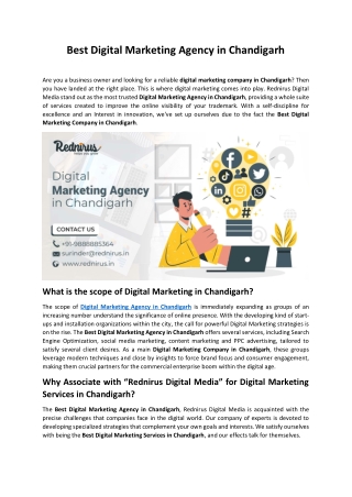 Best Digital Marketing Agency in Chandigarh