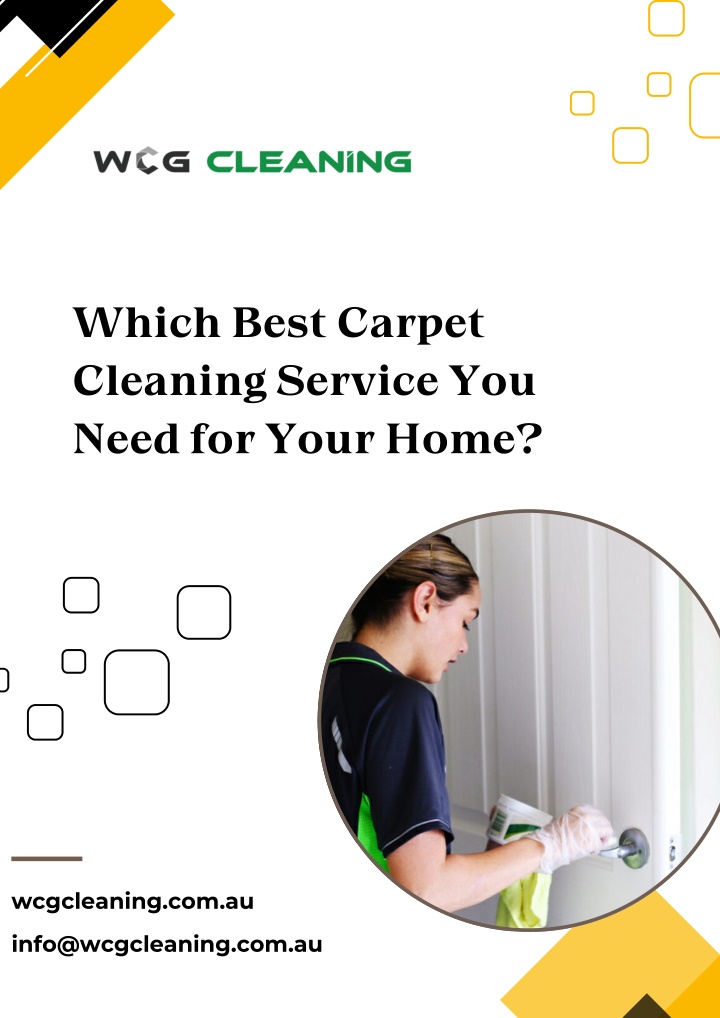 which best carpet cleaning service you need