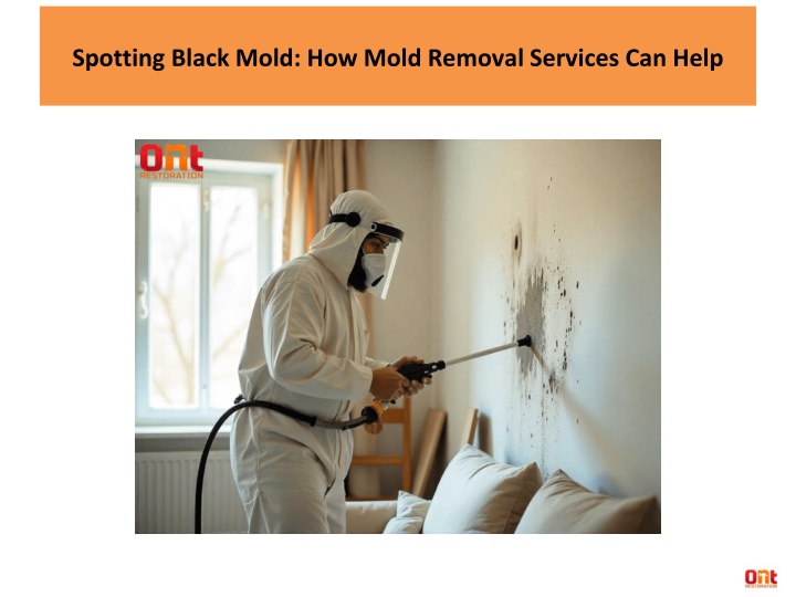 spotting black mold how mold removal services can help