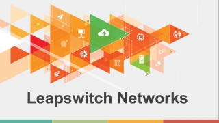 Leapswitch-Networks