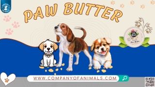 The Ultimate Guide to Pet Head Paw Butter: Coconut & Oatmeal
