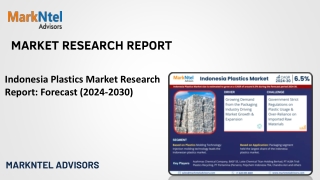market research report