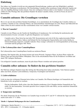 Cannabis selber anbauen: So findest du den perfekten Standort