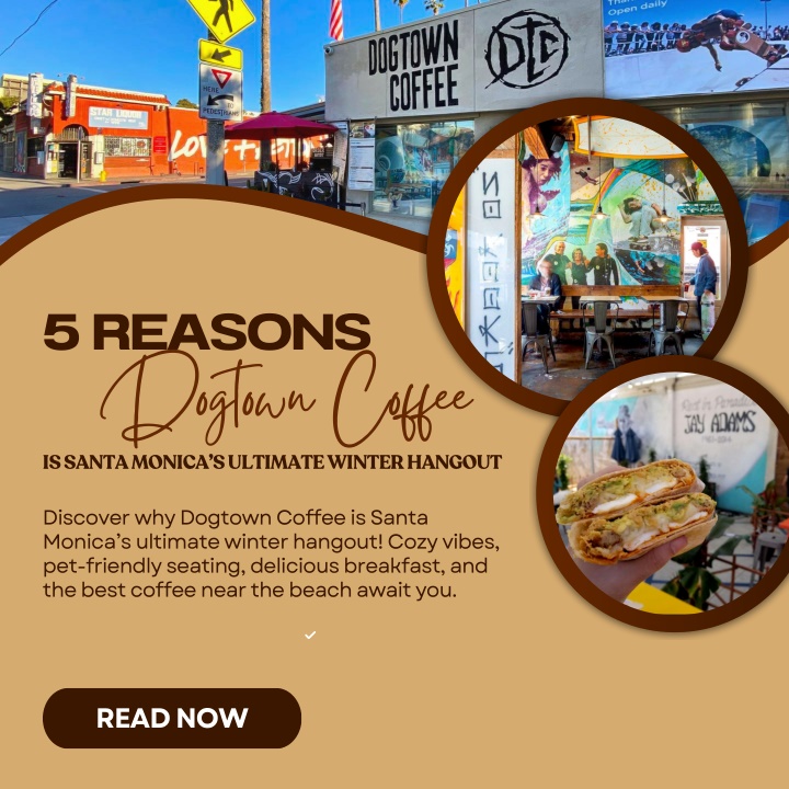 5 reasons dogtown coffee is santa monica