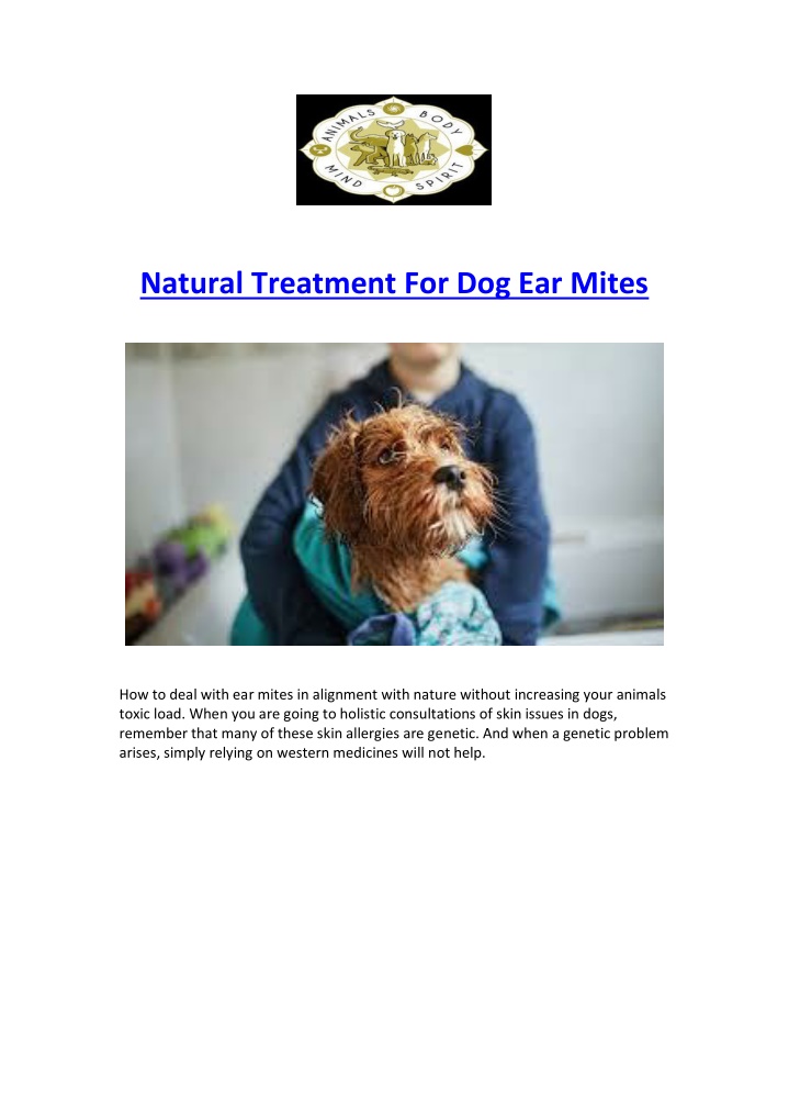 natural treatment for dog ear mites