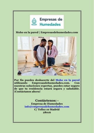 moho en la pared empresasdehumedades com
