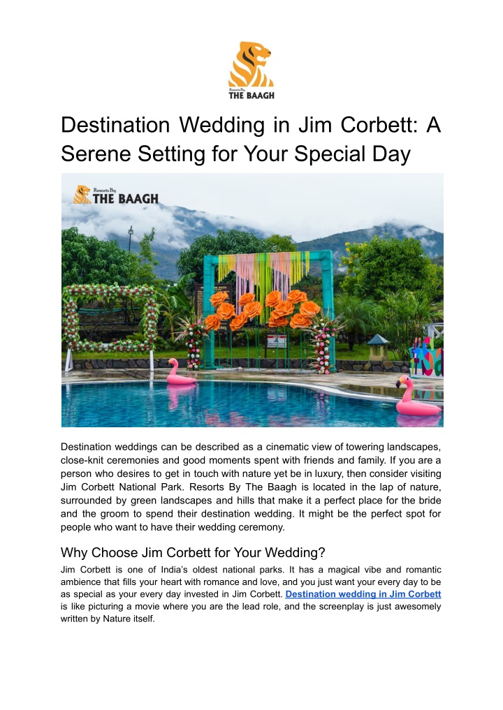 destination wedding in jim corbett a serene