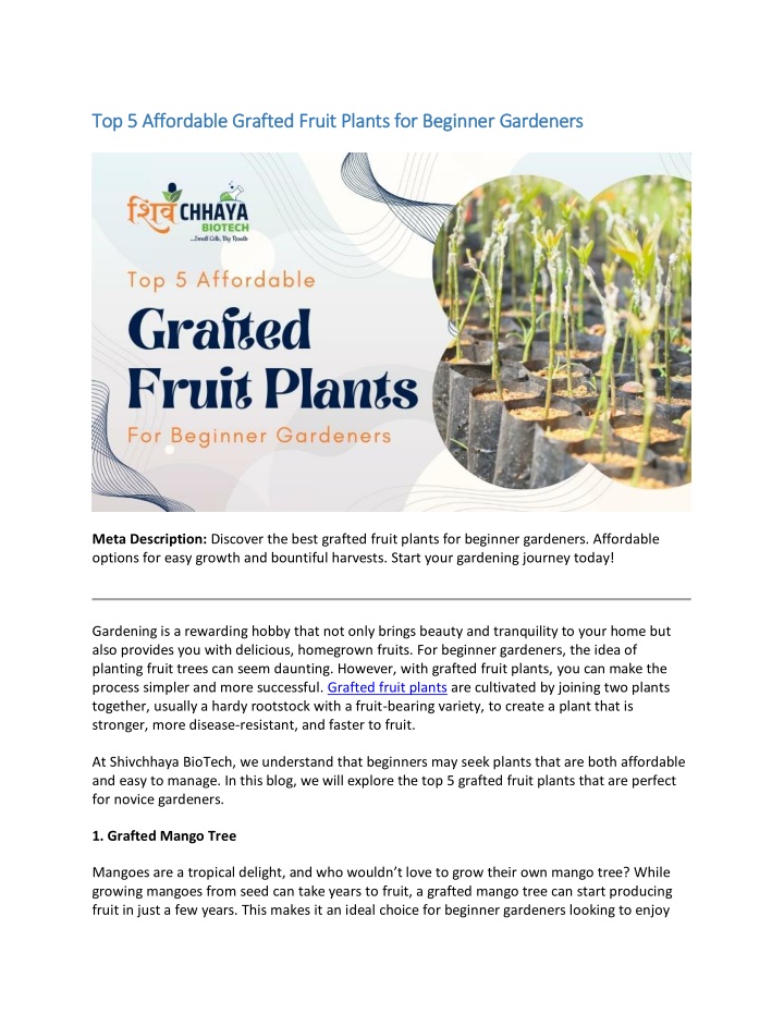 top 5 affordable grafted fruit plants