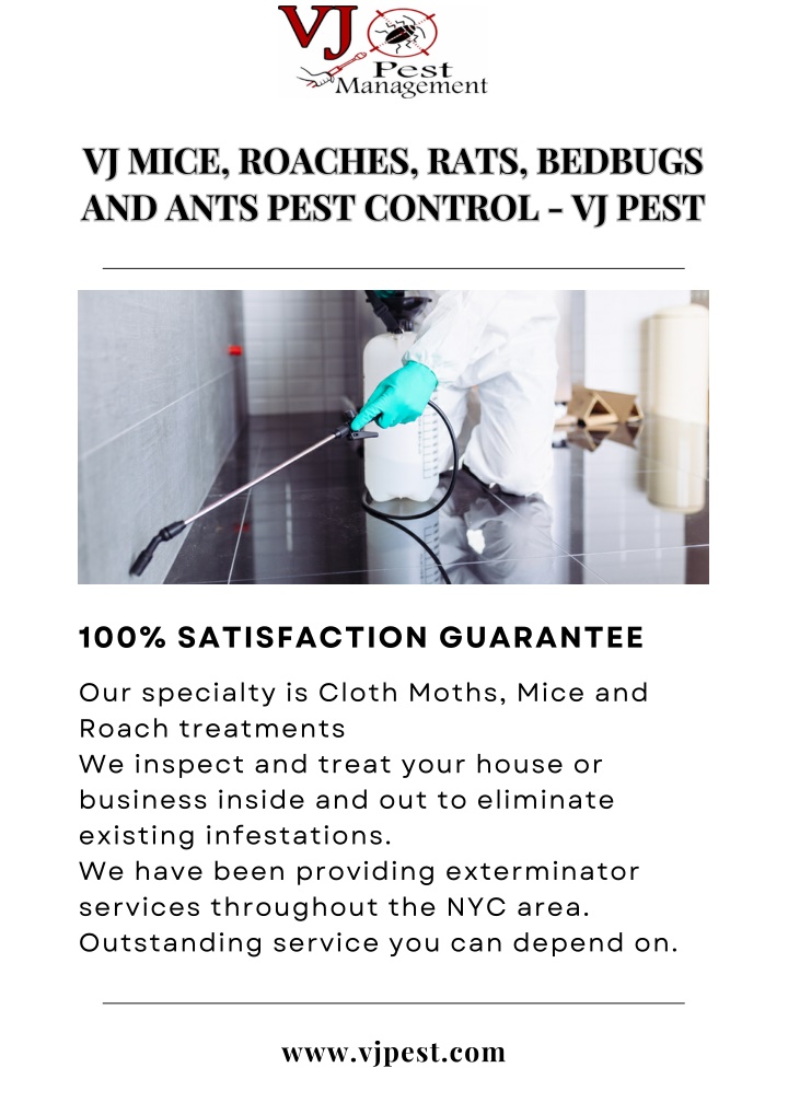 vj mice roaches rats bedbugs and ants pest