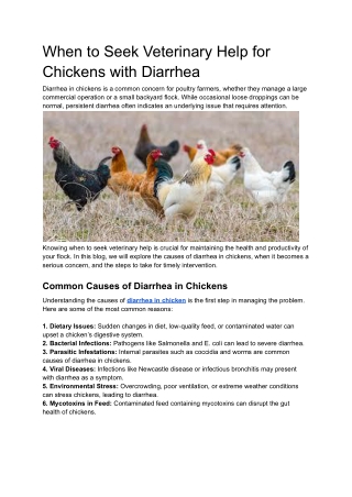 When to Seek Veterinary Assistance for Chickens with Diarrhea and Treatment