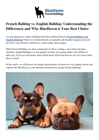 French Bulldog vs. English Bulldog Understanding the Differences and Why BlueHaven is Your Best Choice