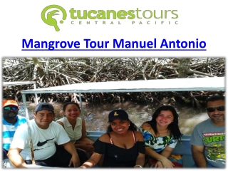 Explore the Wonders of Mangrove Tour in Manuel Antonio