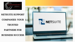 Optimize Your Business with Expert NetSuite Support Companies