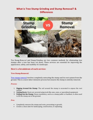 What is Tree Stump Grinding and Stump Removal & Differences