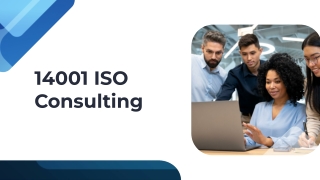 14001 iso consulting