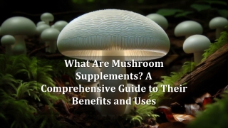 What Are Mushroom Supplements? A Comprehensive Guide to Their Benefits and Uses