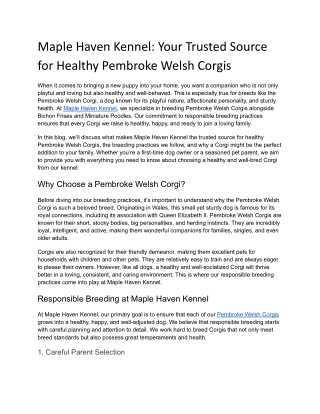 Maple Haven Kennel_ Your Trusted Source for Healthy Pembroke Welsh Corgis