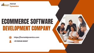 Ecommerce Software Development Company