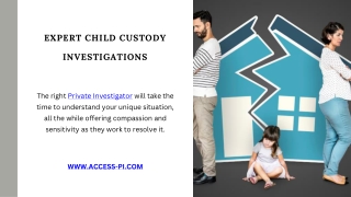 expert child custody investigations