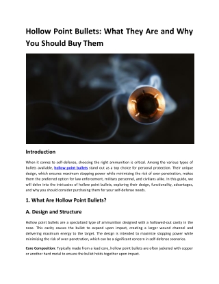 hollow point bullets what they