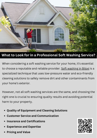 What to Look for in a Professional Soft Washing Service?