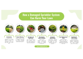 How a Damaged Sprinkler System Can Harm Your Lawn