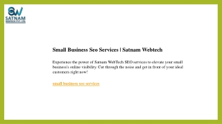 Small Business Seo Services  Satnam Webtech