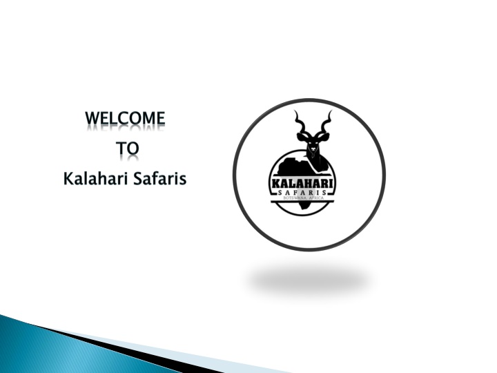 welcome to kalahari safaris