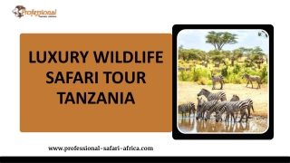 Luxury Wildlife Safari Tour Tanzania