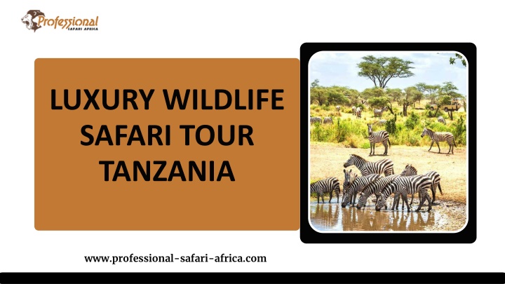 luxury wildlife safari tour tanzania