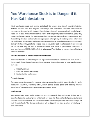 You Warehouse Stock is in Danger if it Has Rat Infestation