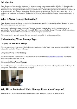 The Benefits of Hiring a Professional Water Damage Restoration Company