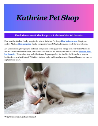 kathrine pet shop kathrine pet shop kathrine