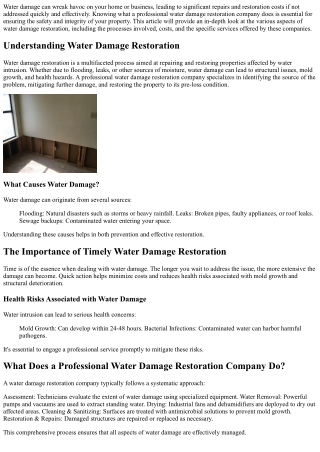 What Does a Professional Water Damage Restoration Company Do?