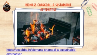 Biomass Charcoal: A Sustainable Alternative