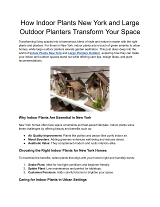 How Indoor Plants New York and Large Outdoor Planters Transform Your Space